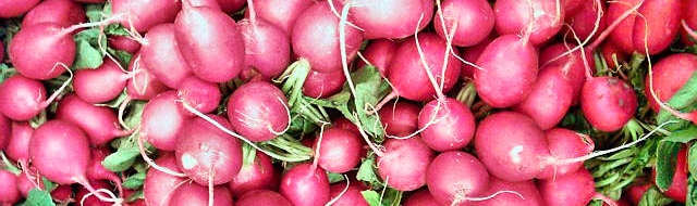 Roasted Radishes