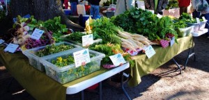 Slice of Heaven Farm's table at the Covington Farmers Market