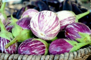 Eggplant from Slice of Heaven Farm