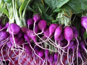 Amethyst Radishes from Slice of Heaven Farm