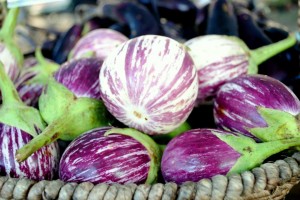 Globe Eggplant from Slice of Heaven Farm