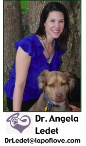 Dr. Angela Ledet With Lap Of Love: Veterinary Hospice Care