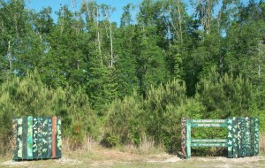 Blue Swamp Creek Nature Trail at the Covington Rec Center