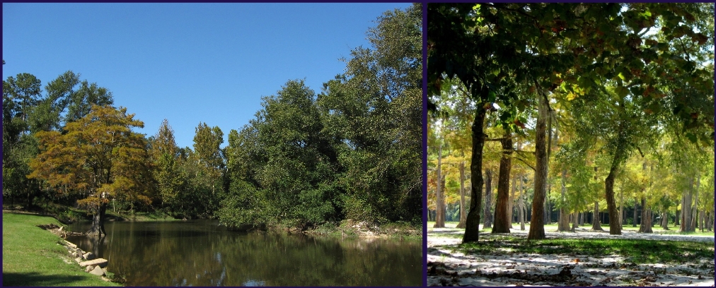 Nature river