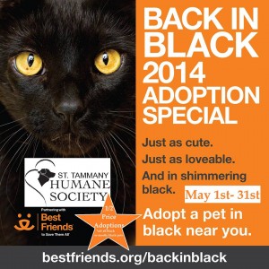 STHS Back In Black Adoption Special