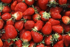 Fresh strawberries as they last! Covington Farmers' Market