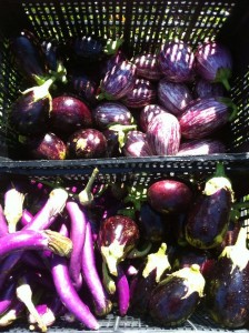 Eggplant from Bartlett Farm