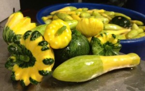 Summer Squash from GROW.farm