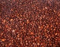 Coffee Beans from Coast Roast