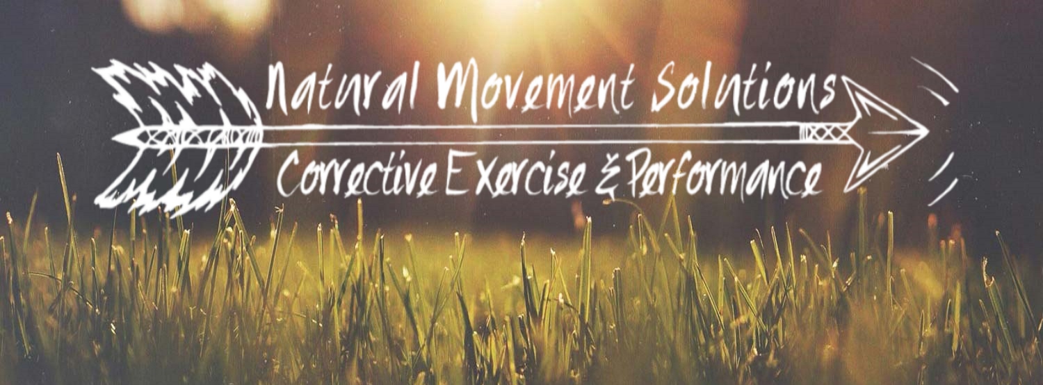 An Introduction to the Eldoa Method by Justin Brien of Natural Movement Solutions