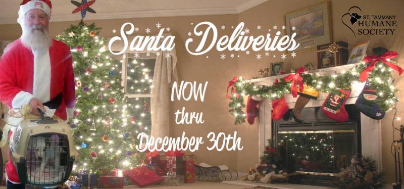 sths-santa-deliveries