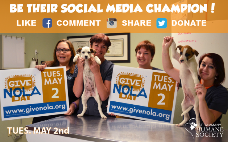 Give NOLA Day Tuesday, May 2