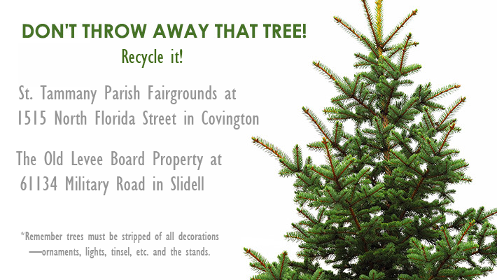 Christmas Tree Recycling Information