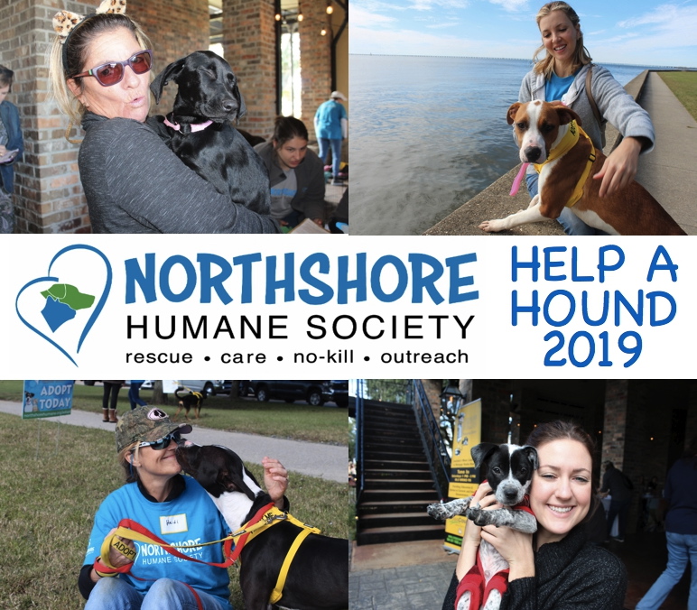 NHS Help A hound adoption event a Success