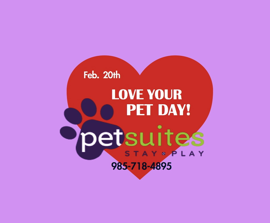 “Love Your Pet Day” at PetSuites Northshore