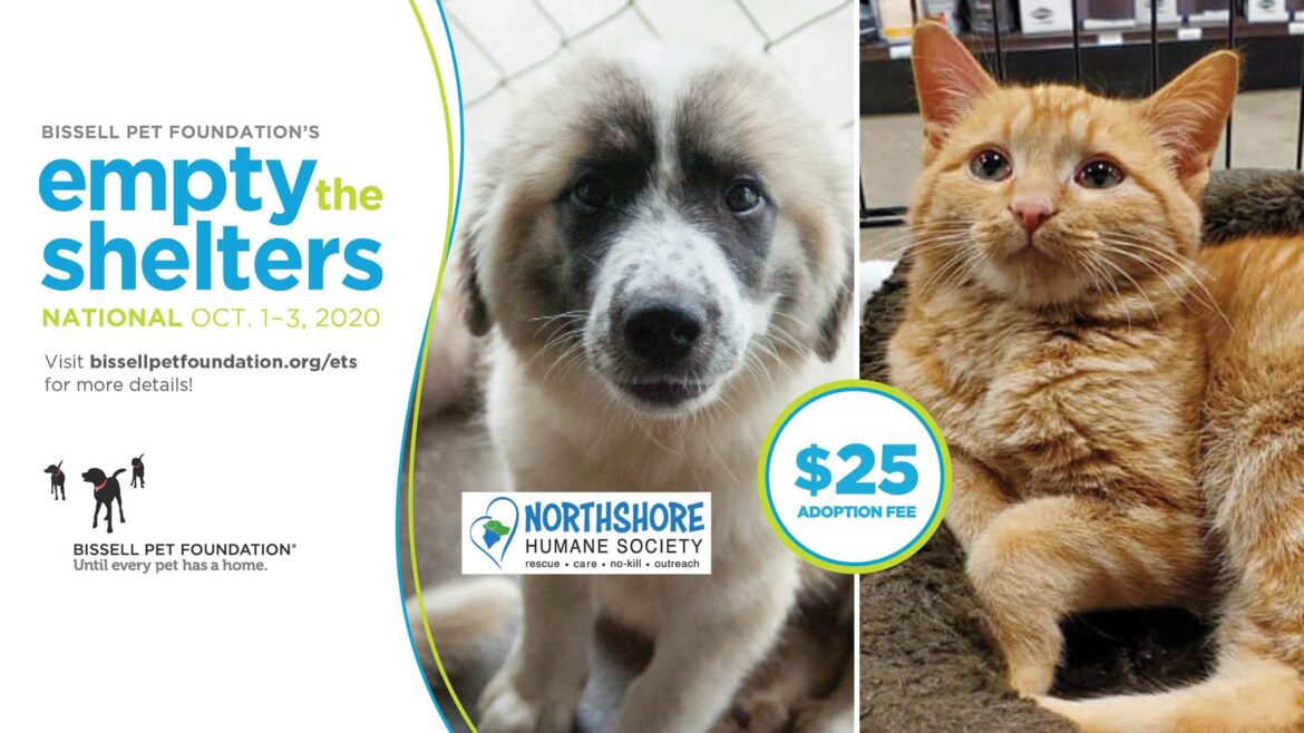 NHS “Empty the Shelters” 3-Day Adoption Event