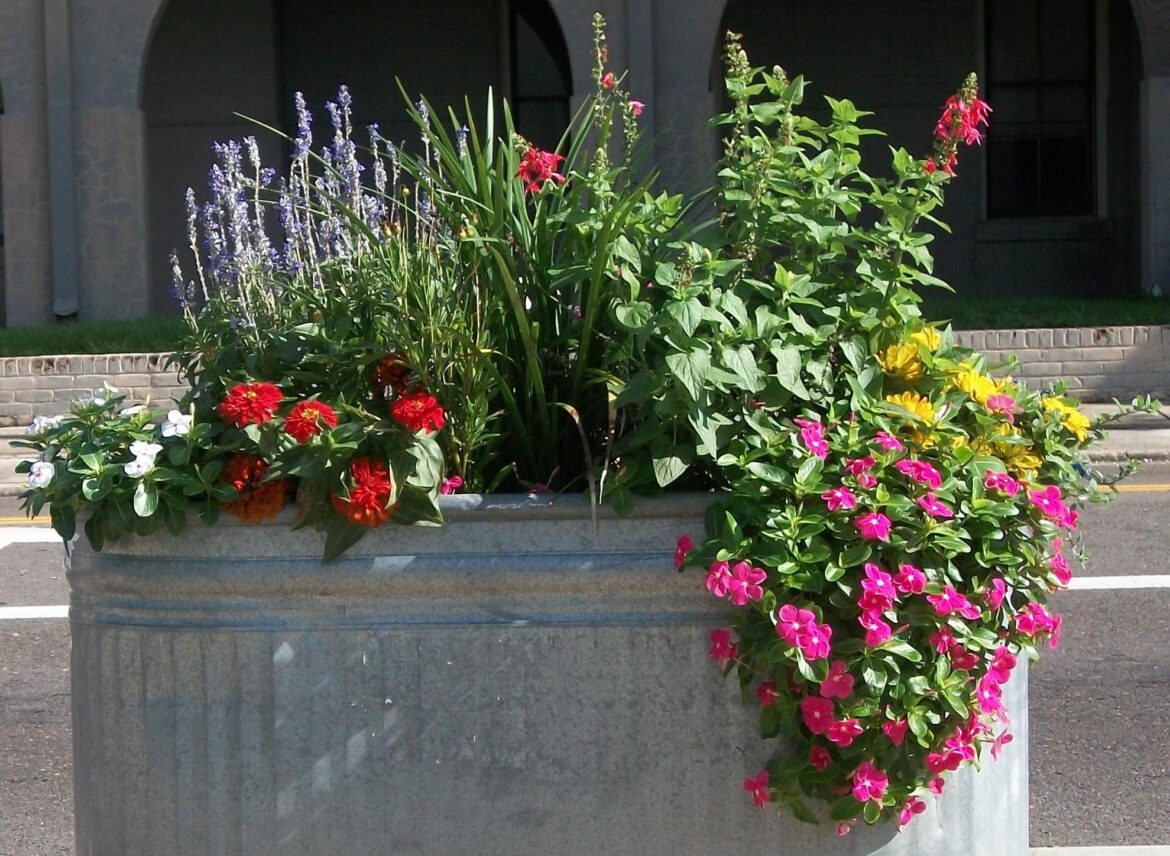 Volunteers Needed – Replanting Downtown Planters with Keep Covington Beautiful