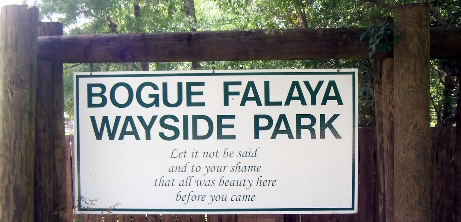 Local History: Bogue Falaya Wayside Park – Covington Weekly